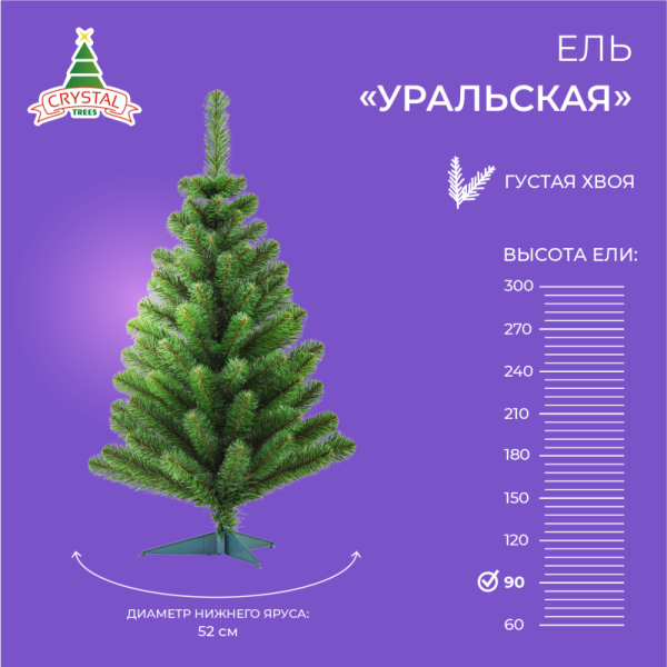 Ель УРАЛЬСКАЯ стройная