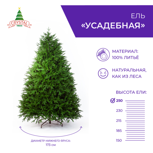 Ель УСАДЕБНАЯ 250 см