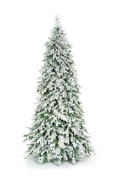 Ель ЭМИЛИ зеленая в снегу 270 см