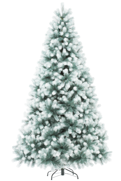 Сосна ШВЕЙЦАРСКАЯ снежная