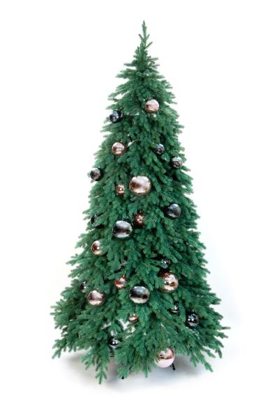 Ель ЭМИЛИ серо-голубая