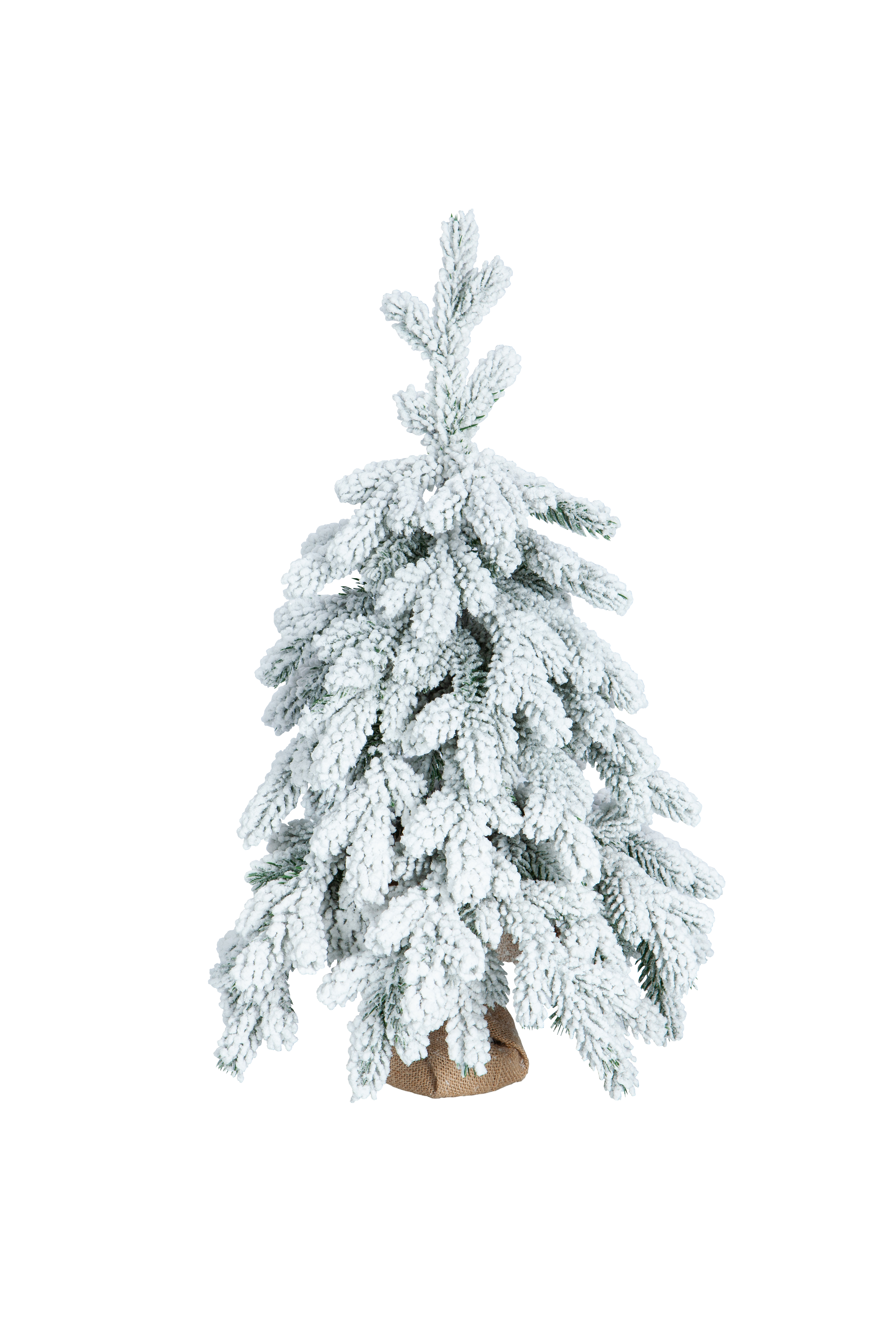 Ель ЭМИЛИ зеленая в снегу 60 см