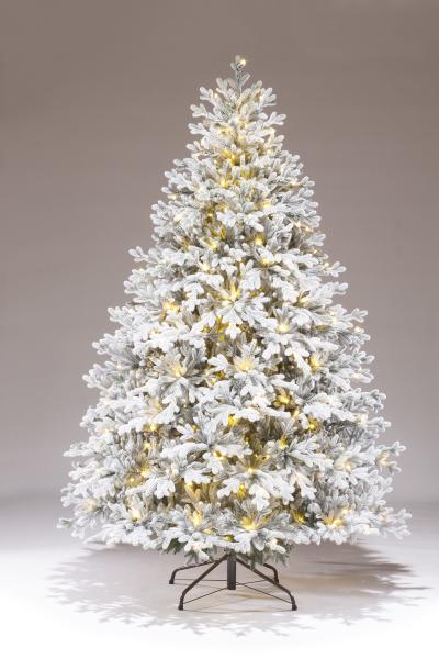 Ель Вега с освещением заснеженная