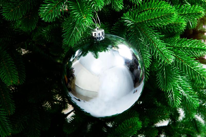 серебро на вет (1) (1)