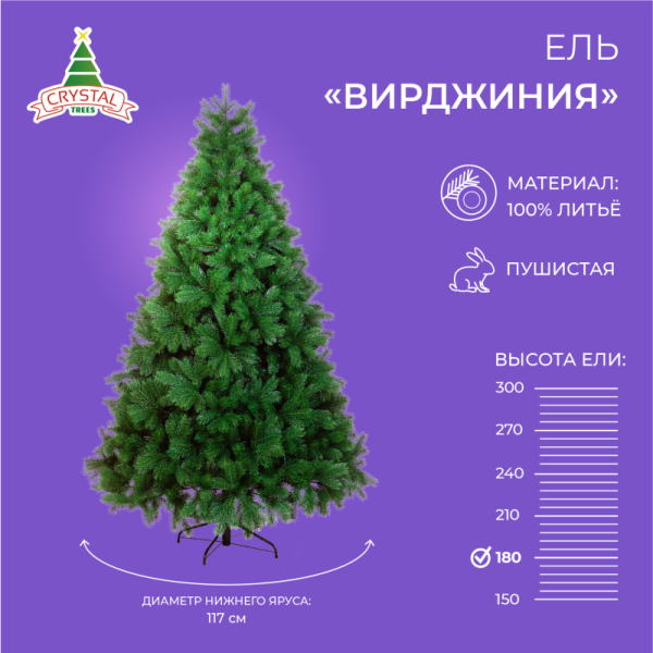 Сосна ВИРДЖИНИЯ Сосна ВИРДЖИНИЯ