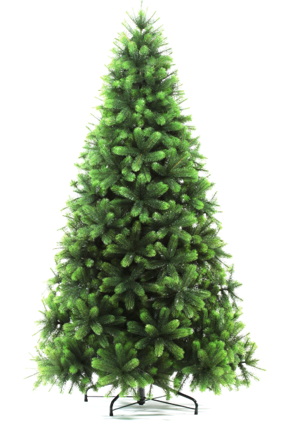 Сосна ШВЕЙЦАРСКАЯ