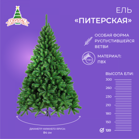 Ель ПИТЕРСКАЯ зеленая 120см