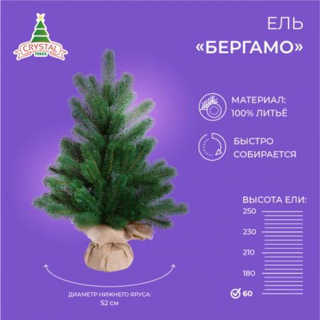 Ель БЕРГАМО 60 см