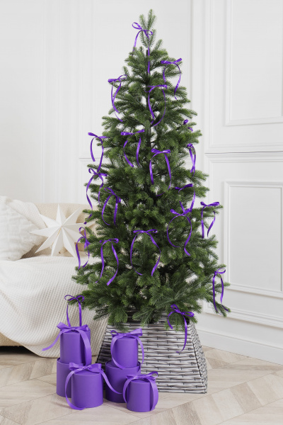 Ель МАГДАЛЕНА Ель МАГДАЛЕНА