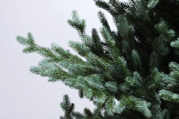 Ель Селеста Ель Селеста