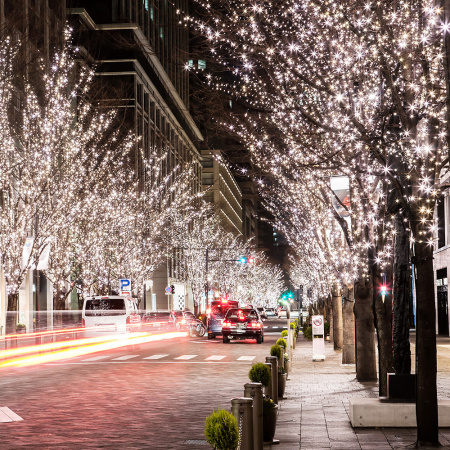 24V Электрогирлянда-конструктор "Нить" 48 красных LED ламп, прозрачный провод, 5 м /100/4