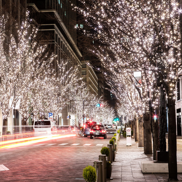 24V Электрогирлянда-конструктор "Нить" 48 красных LED ламп, прозрачный провод, 5 м /100/4