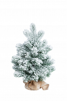 Ель ХИЛТОН заснеженная в мешочке 50 см