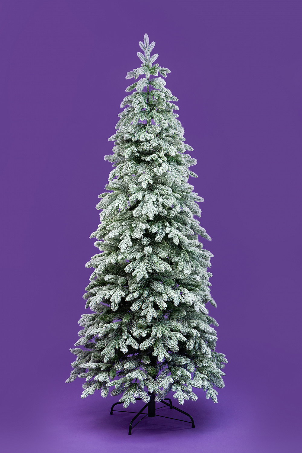 Ель АНДОРРА в снегу