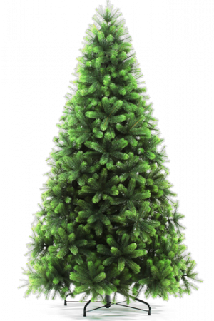 Сосна ШВЕЙЦАРСКАЯ 225см