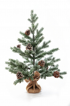 Ель ВЕРНАЦЦА в инее с шишками 60 см