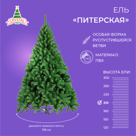 Ель ПИТЕРСКАЯ зеленая 210см