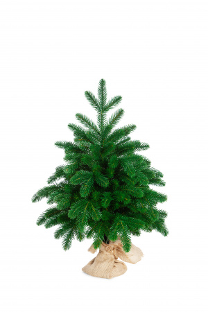 Ель БЕРМИНГЕМ 60 см