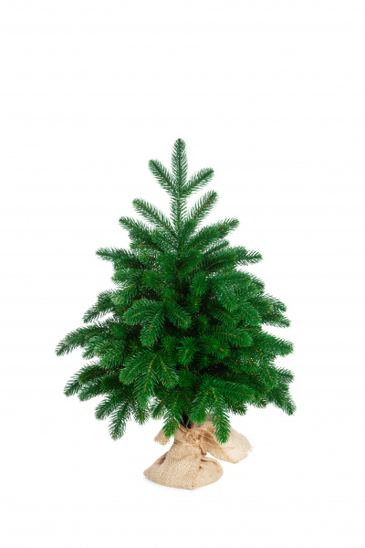 Ель БЕРМИНГЕМ