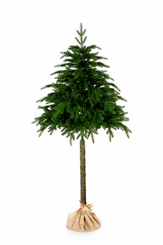 Ель ТАЛА 150 см.