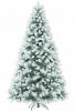 Сосна ШВЕЙЦАРСКАЯ снежная