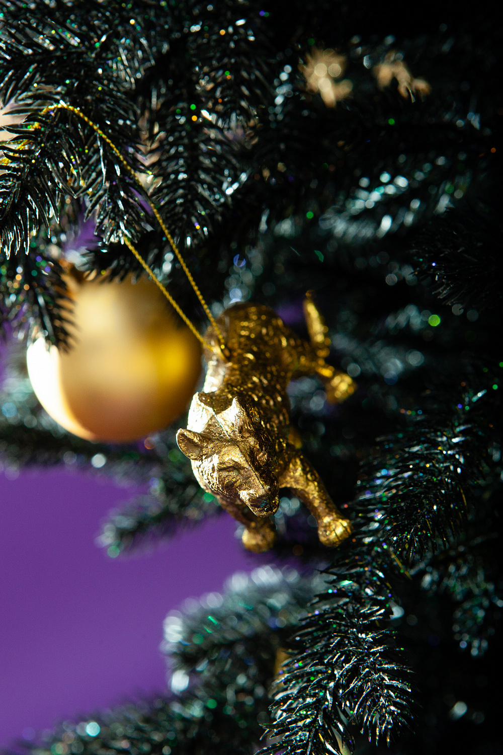 Ель ЗВЕЗДНАЯ РОССЫПЬ