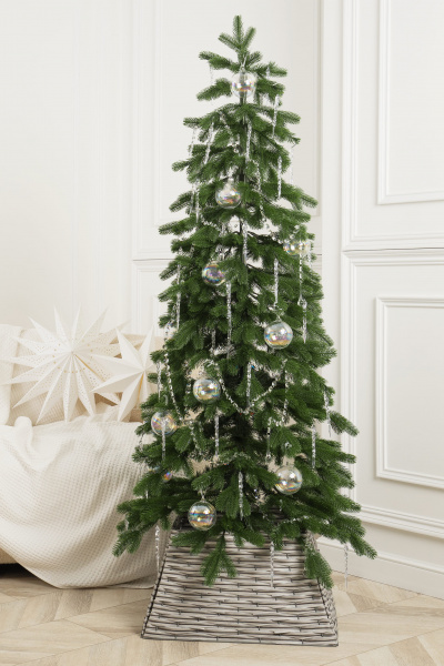 Ель АМЕЛЛИ Ель АМЕЛЛИ