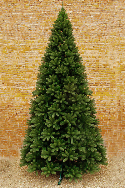 Ель "Принцесса" ствольная Ель "Принцесса" ствольная