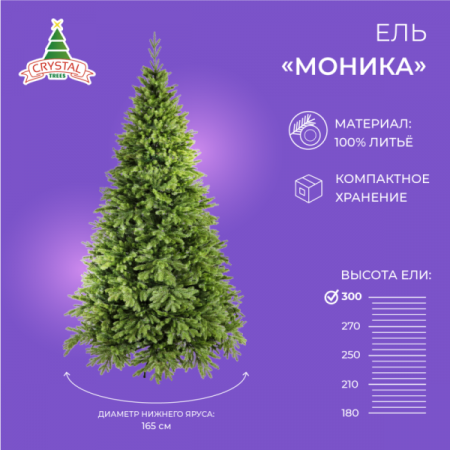 Ель МОНИКА