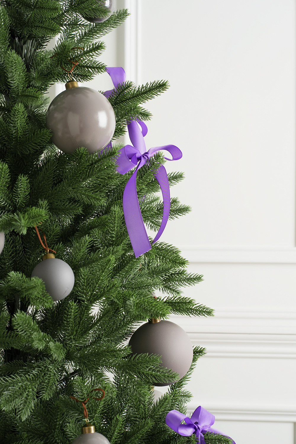 Ель ЛАПЛАНДИЯ