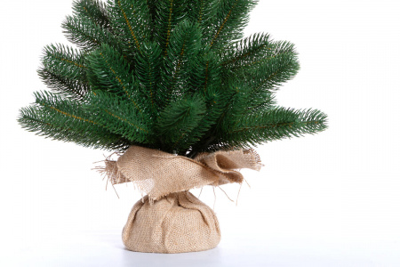 Ель БЕРГАМО