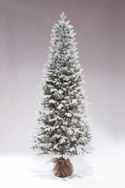 Николь Заснеженная Николь Заснеженная