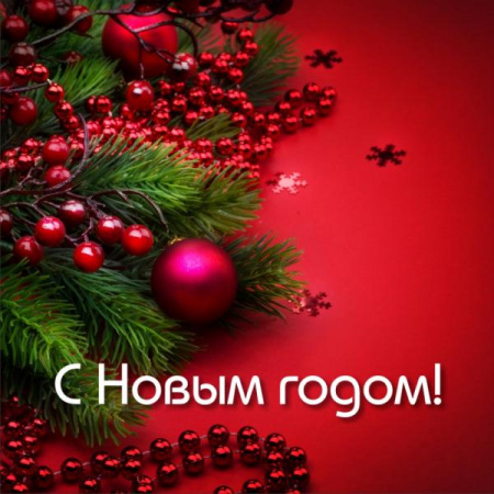 Ограждение для СТВОЛЬНОЙ ели 11 м