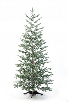 Ель РОНДА в снегу 150 см