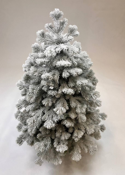 Ель Кадриль заснеженная