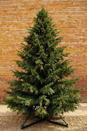 31250 Ель интерьерная Сказочная ре с шишками 2,5м