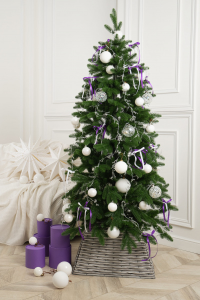 Ель ЯСОНА Ель ЯСОНА