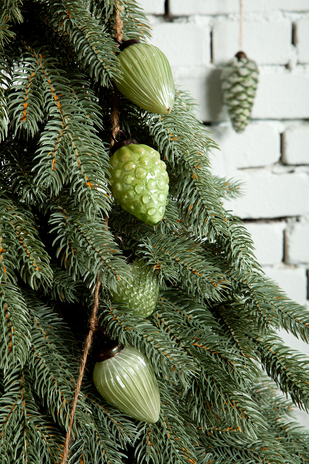 Ель ЭМИЛИ серо-голубая