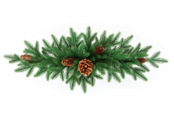 Сваг МОНИКА с шишками