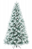 Сосна ШВЕЙЦАРСКАЯ снежная