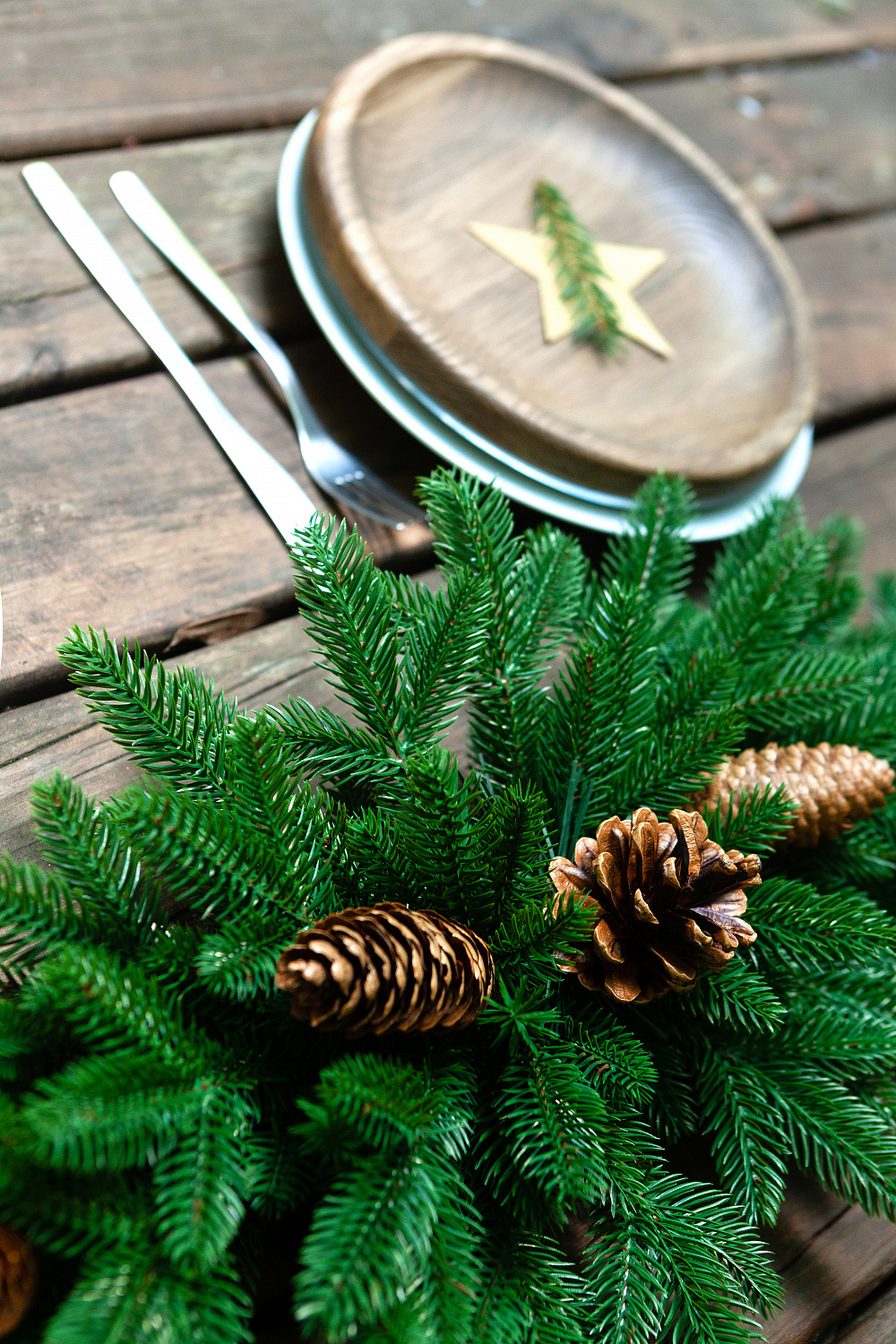 Сваг МОНИКА с шишками