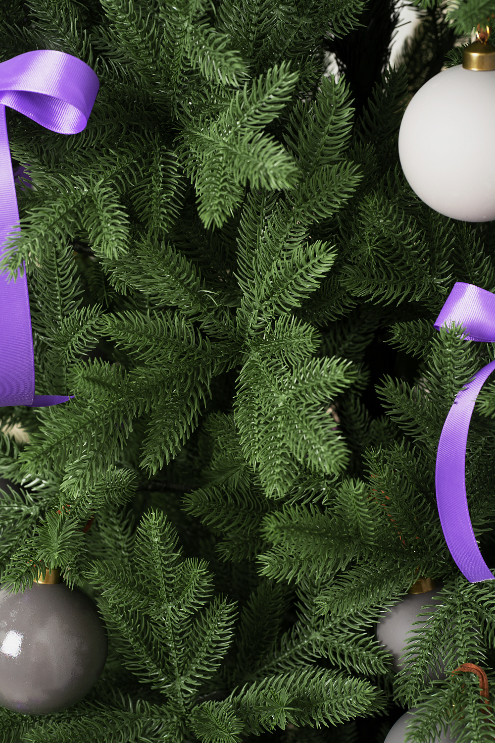 Ель ЛАПЛАНДИЯ