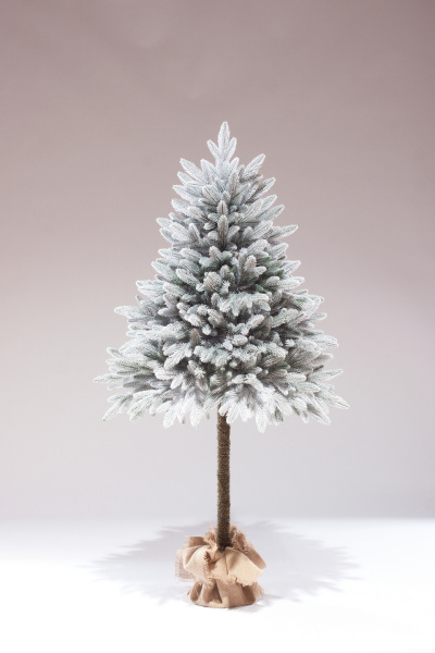 Тайя Заснеженная на Ножке