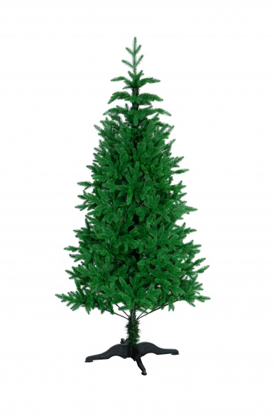 Ель ЛАПЛАНДИЯ Ель ЛАПЛАНДИЯ