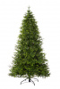 Ель КНЯЖЕСКАЯ зеленая