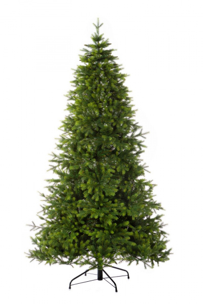 Ель КНЯЖЕСКАЯ зеленая