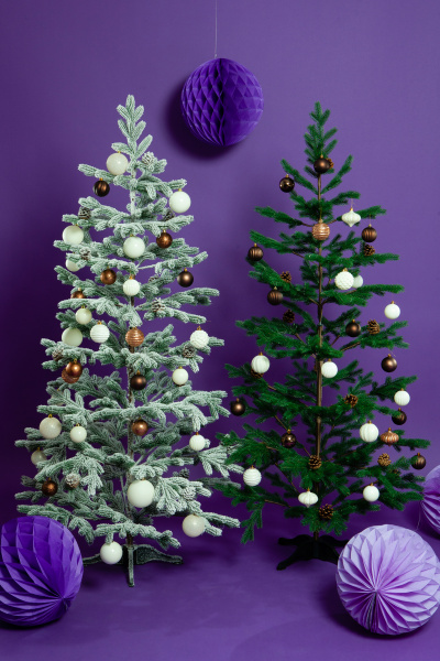 Ель БОРГО зеленая с шишками