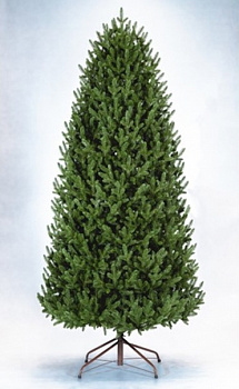 Ель Синдия 90 см