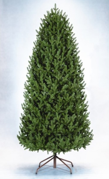 Ель Синдия Ель Синдия