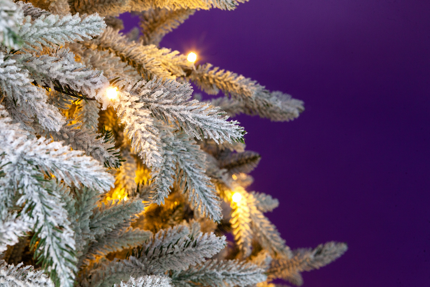 Ель ПЕРСЕЯ в снегу с вплетенной гирляндой